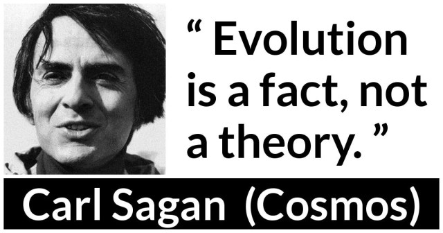Evolution-is-a-fact-not-a-theory