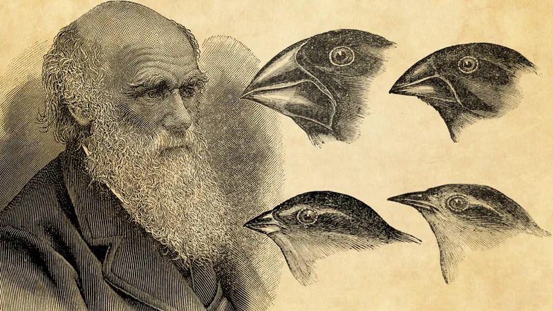 Is Evolution a Fact or a Theory? A Comprehensive Exploration of Darwin’s Revolutionary Idea