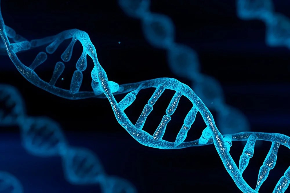 How Did the Discovery of DNA Change the World?