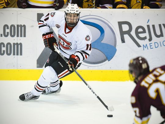 Round player pos drafted from gp g a pts pim; C Ryan Poehling : The Draft Analyst