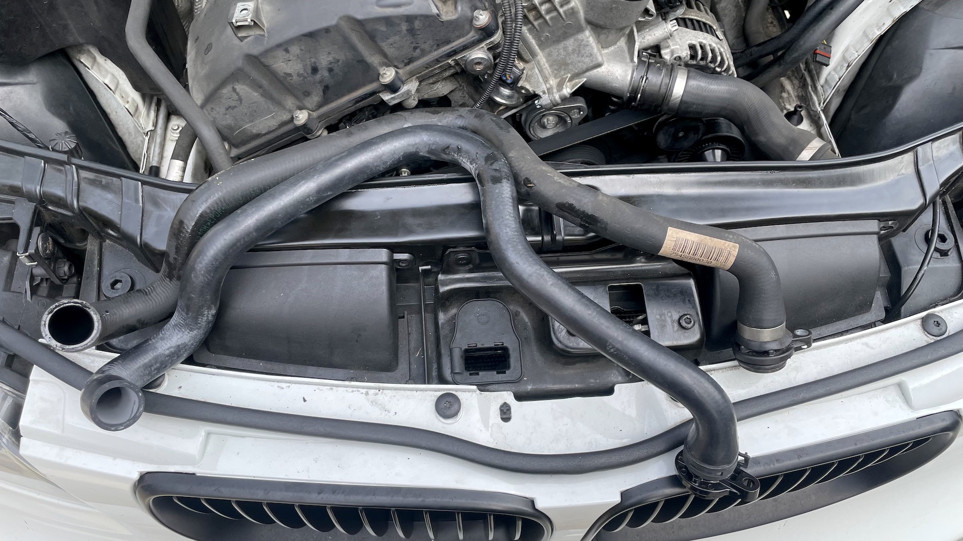 Symptoms of bad oil filter housing gasket at olivia brewster blog