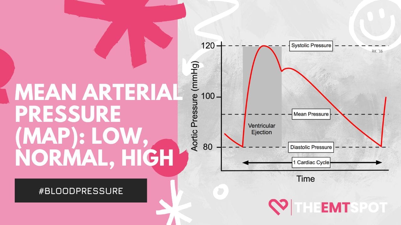 Mean Arterial Pressure MAP Theemtspot.