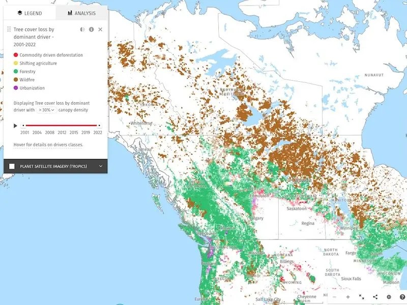 Map Of The Month The Nuanced Rise And Fall Of Canada S Tree Cover GFW 1 Tree Loss Driver 