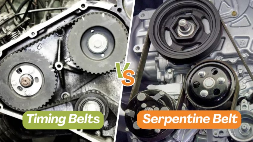Serpentine Belts vs Timing Belts