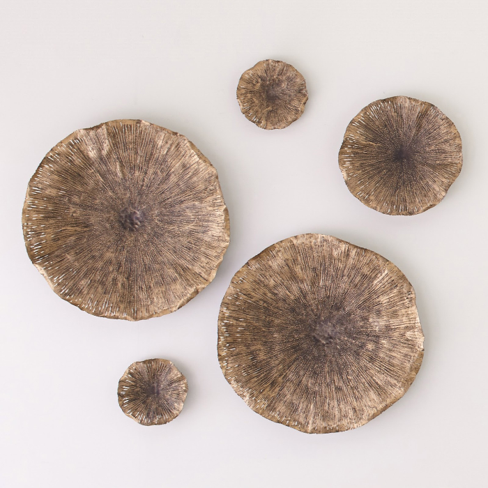 Five round bronze textured wall art pieces on white wall.