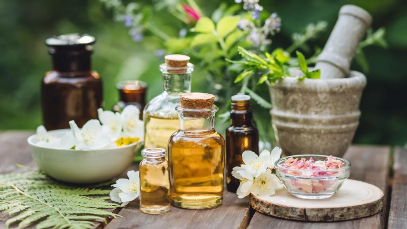 Plants That Repel Flies: Natural Solutions for a Bug-Free Garden 1 Enjoy Aromatherapy