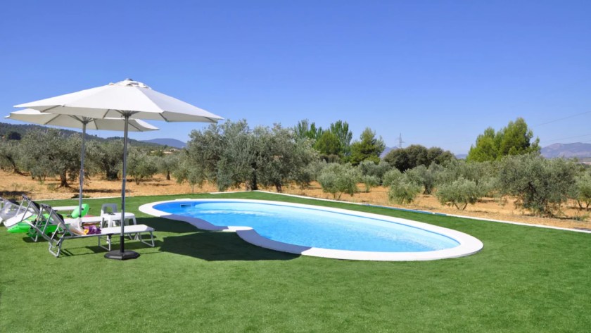 Pros and Cons of Grass Around a Pool 5 Grass around swimming pool