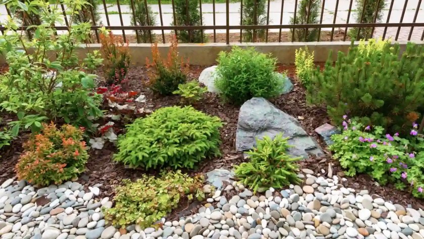 Where Can I Buy LARGE Garden Rocks? 3 large rocks cost
