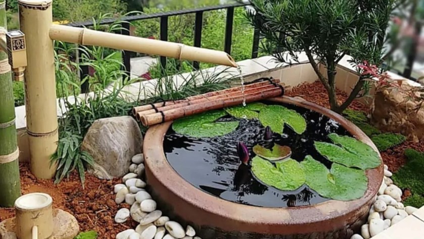 5 Benefits of Bamboo Plants in the Home Explained 4 Bamboo pond edge