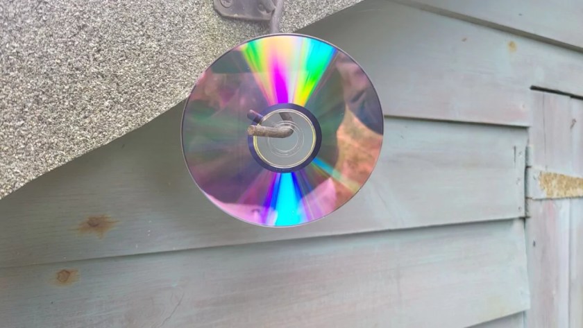 Do Seagulls Take Fish From Garden Ponds? Protect Your Fish From Seagulls 8 CD repellent