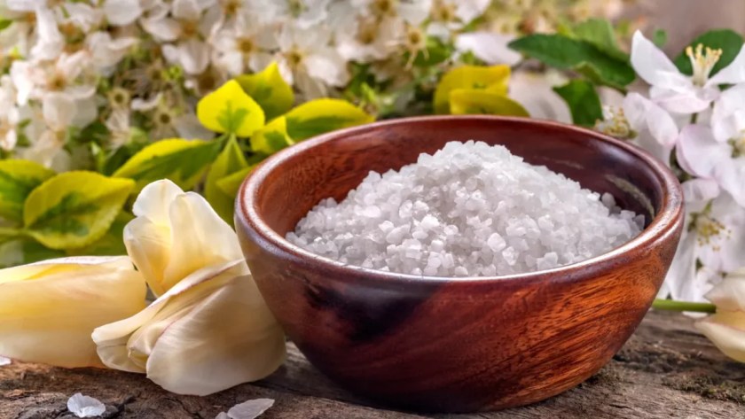 Can You Use Epsom Salt on Succulents? 6 Epsom Salts for garden