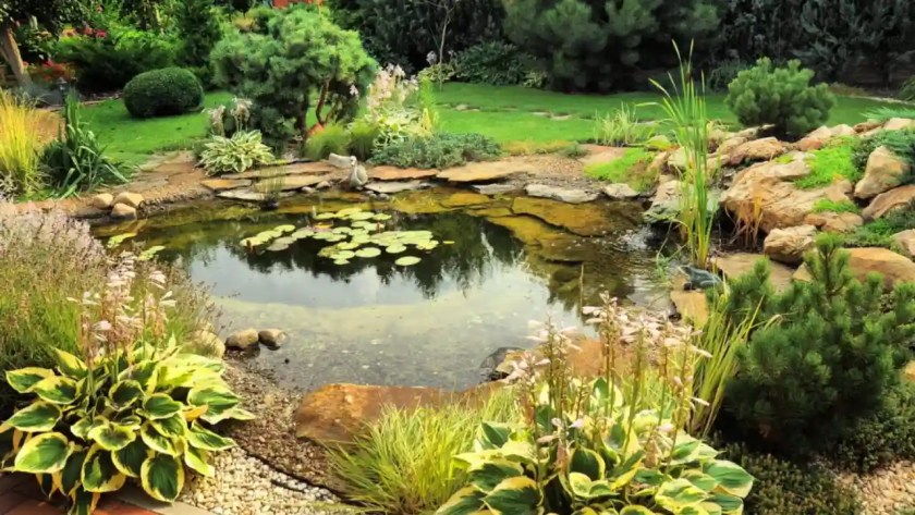 8 Amazing Ideas What to Replace a Pond With (Images) 1 Garden pond