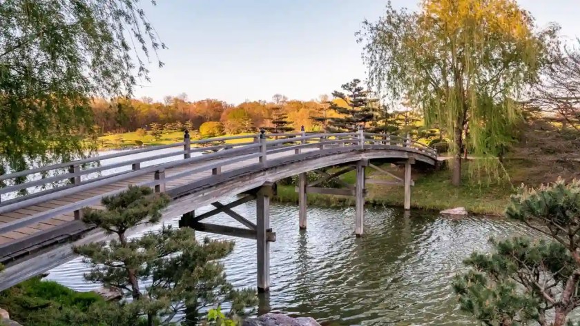 Why Do Japanese Gardens Have Bridges? 6 Japanese garden bridge shape