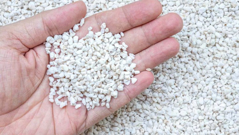 Can You Use Foam as A Hydroponic Growing Medium? 6 Perlite growing medium