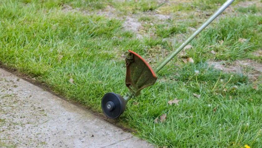 How to Cut Tall Grass without A Mower 1 Using String Trimmer