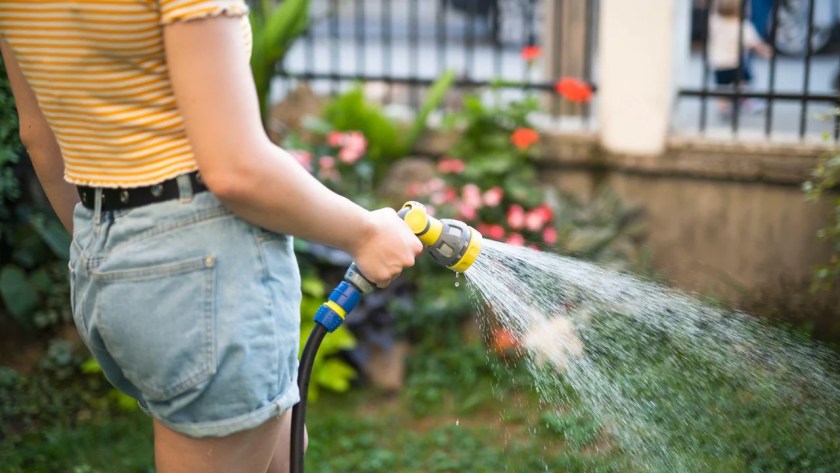 How To Fill A Pond With Water (Complete Guide) 4 Using hosepipe