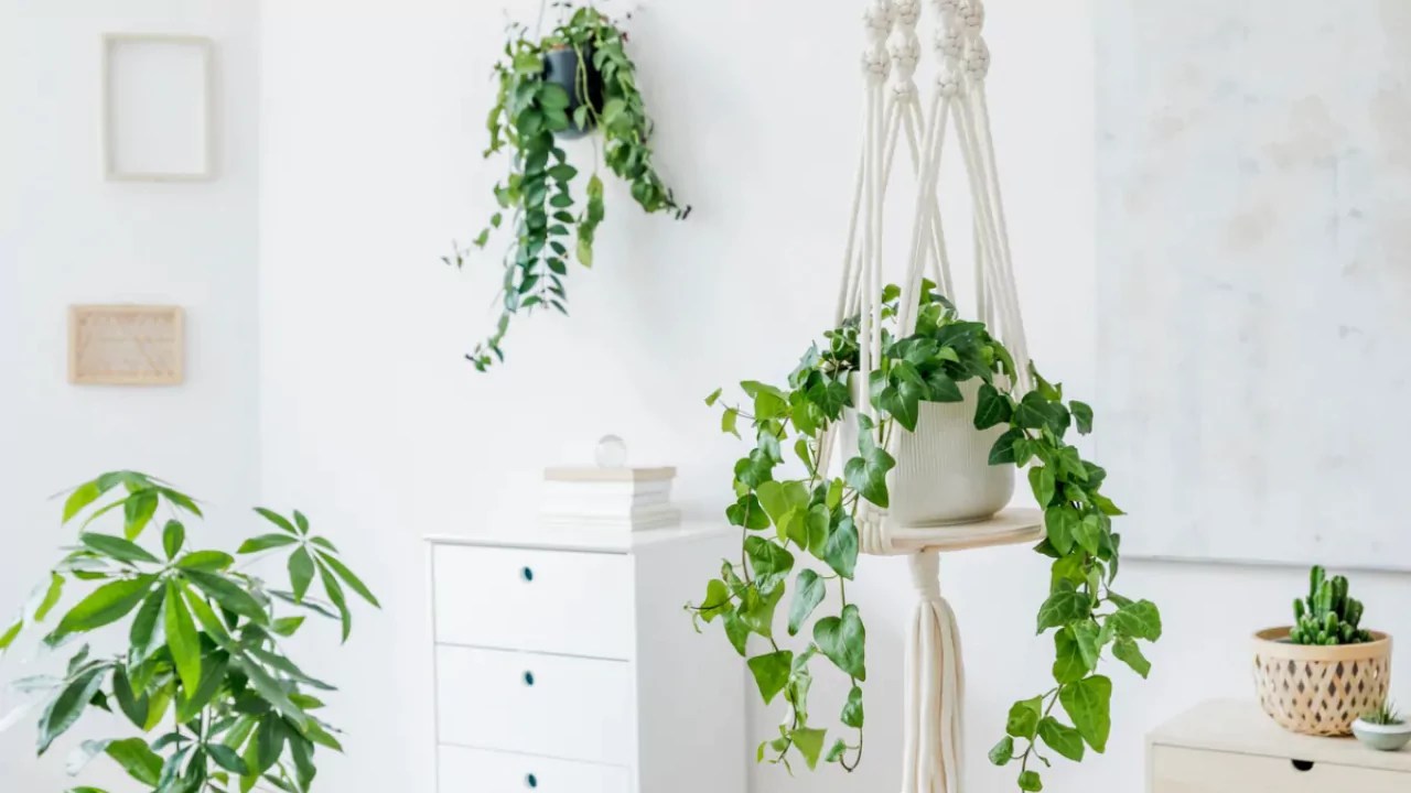 Why is the right ceiling hook important