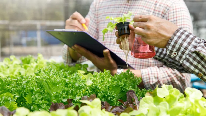 How to Keep pH Stable in Hydroponics 1 pH in hydroponics