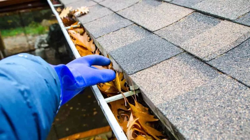 How Often Should Gutters Be Cleaned? 1 Clean Your Gutters