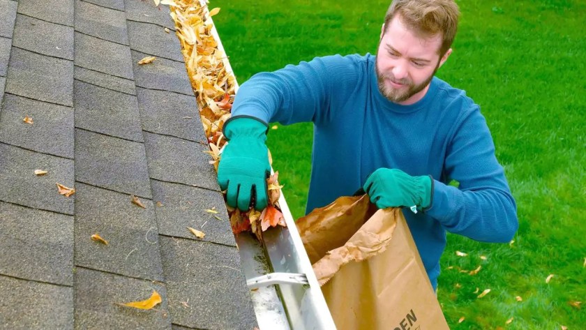 How Often Should Gutters Be Cleaned? 4 Debris and visible leaves