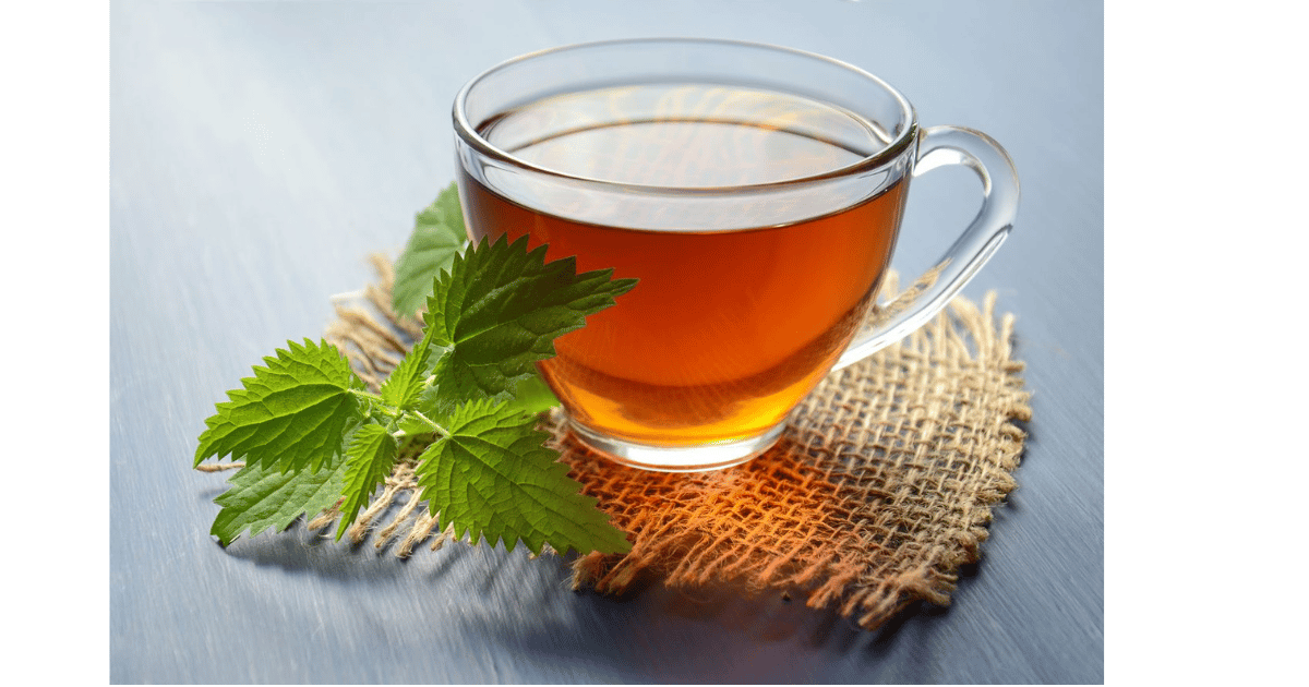 Understanding Tea: A Beginner’s Guide to Types, Flavors, and Brewing