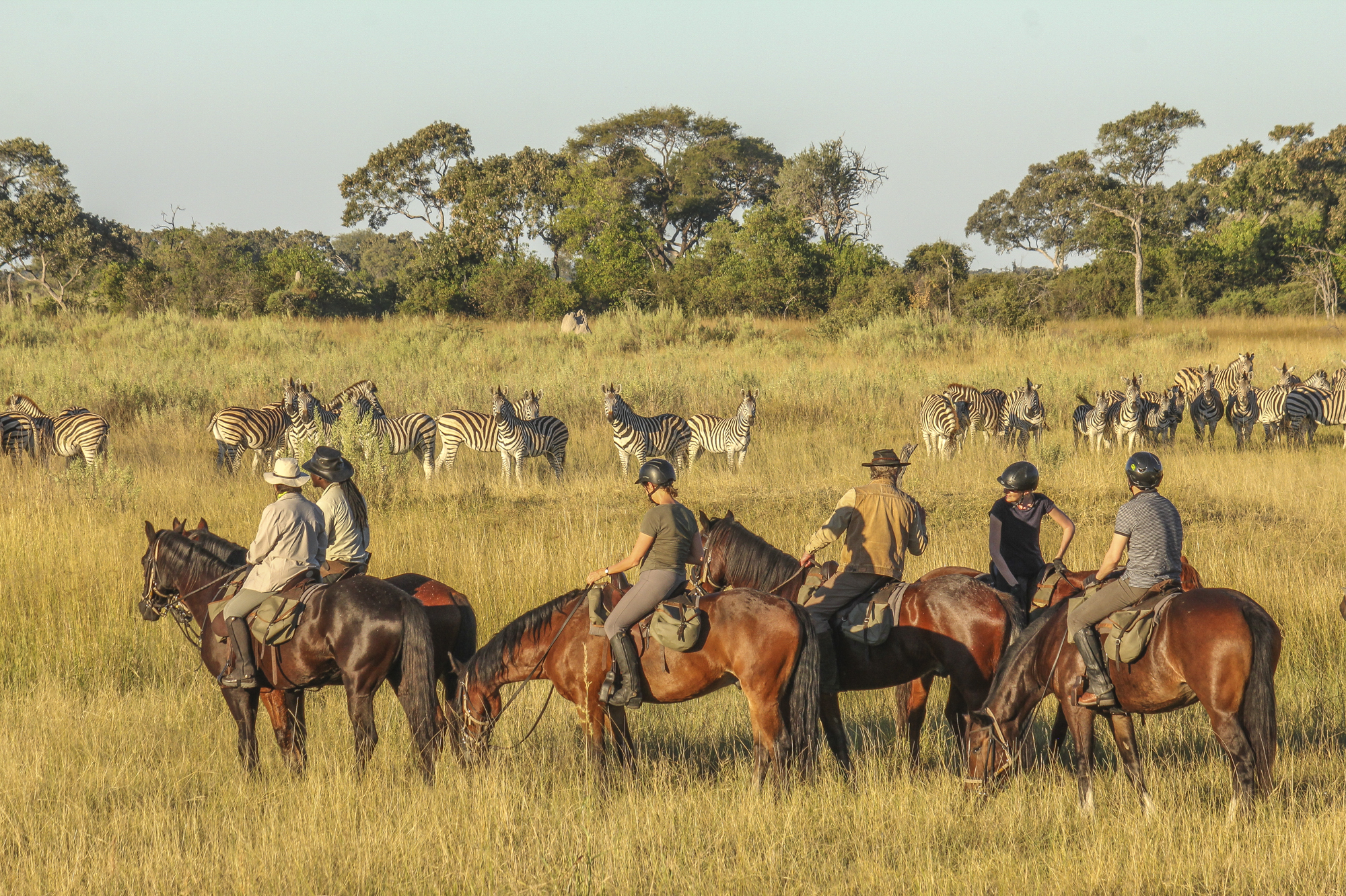 Win A 7 Night Horseback Safari In The Okavango Delta The