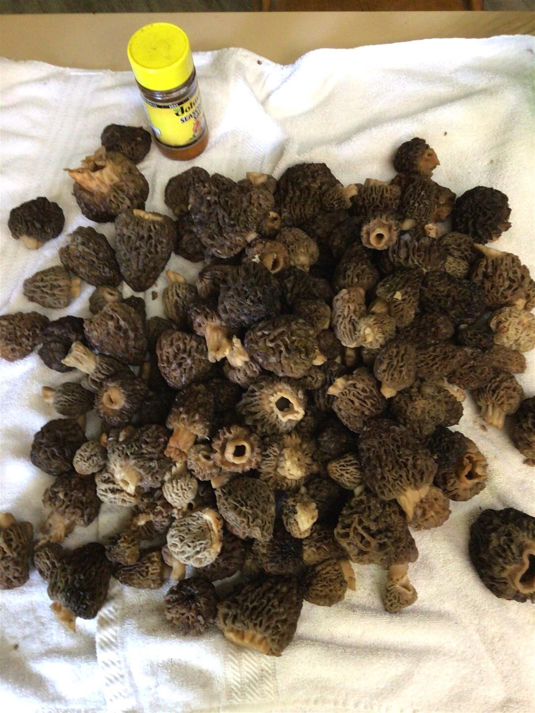 Morel Mushroom Sightings Maps - OR Echo 20220609 60A603D0 Large Rotated 