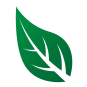 leaf icon