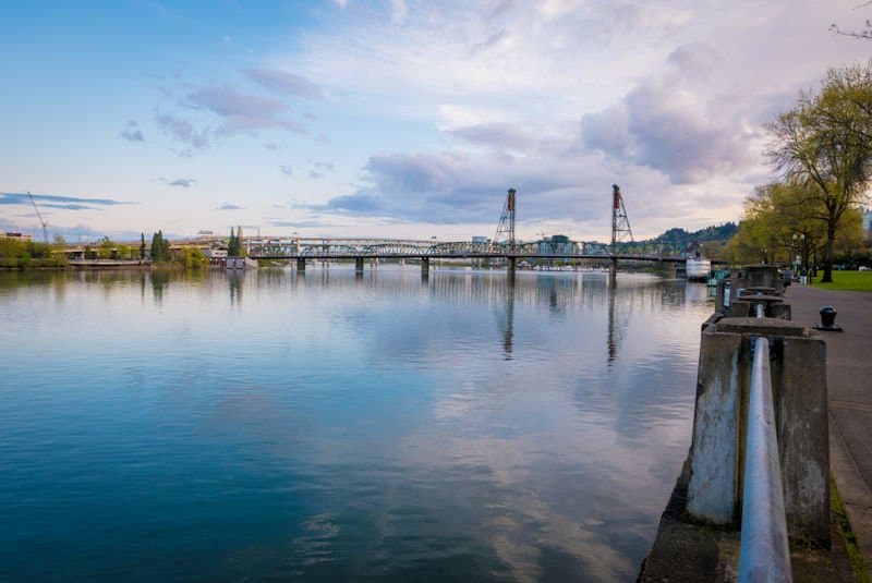 Willamette River Fishing Report January 17th, 2020 – The Guide's Forecast