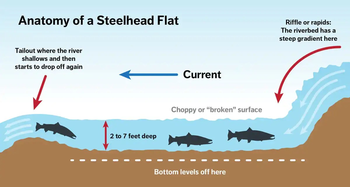 Steelhead Flat FINAL