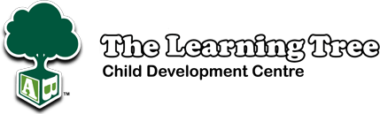 The Learning Tree Preschool Care Com Allston Ma