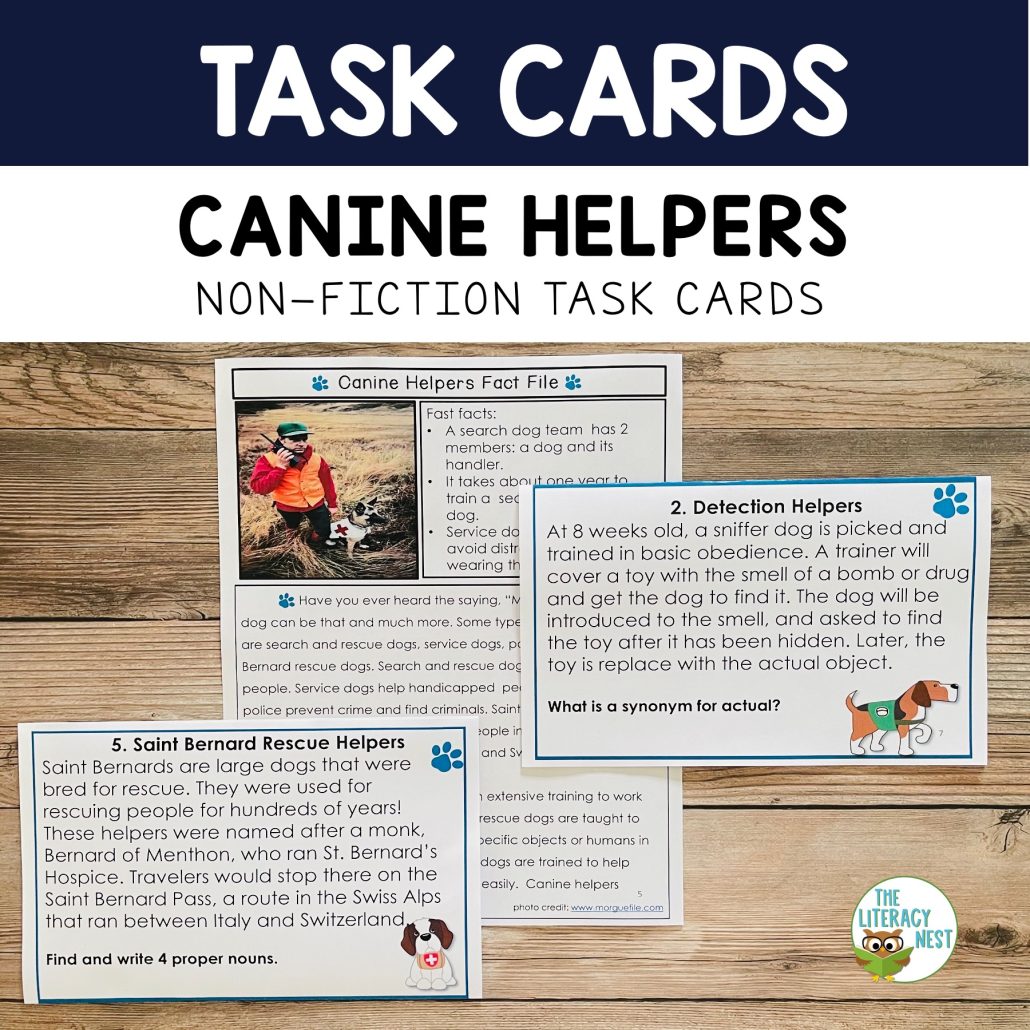 How to Train a Dog to Find Hidden Objects: Expert Tips