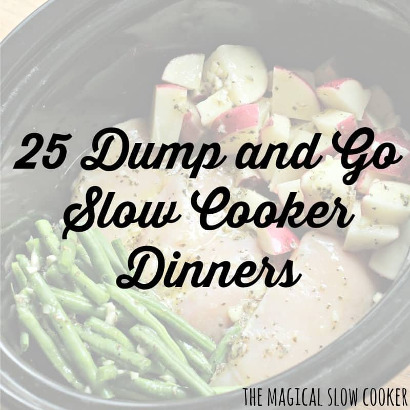 25 dump and go slow cooker recipes