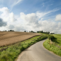 Theme Engineering Services Pvt Ltd - Perfect City Pattern - Mobile