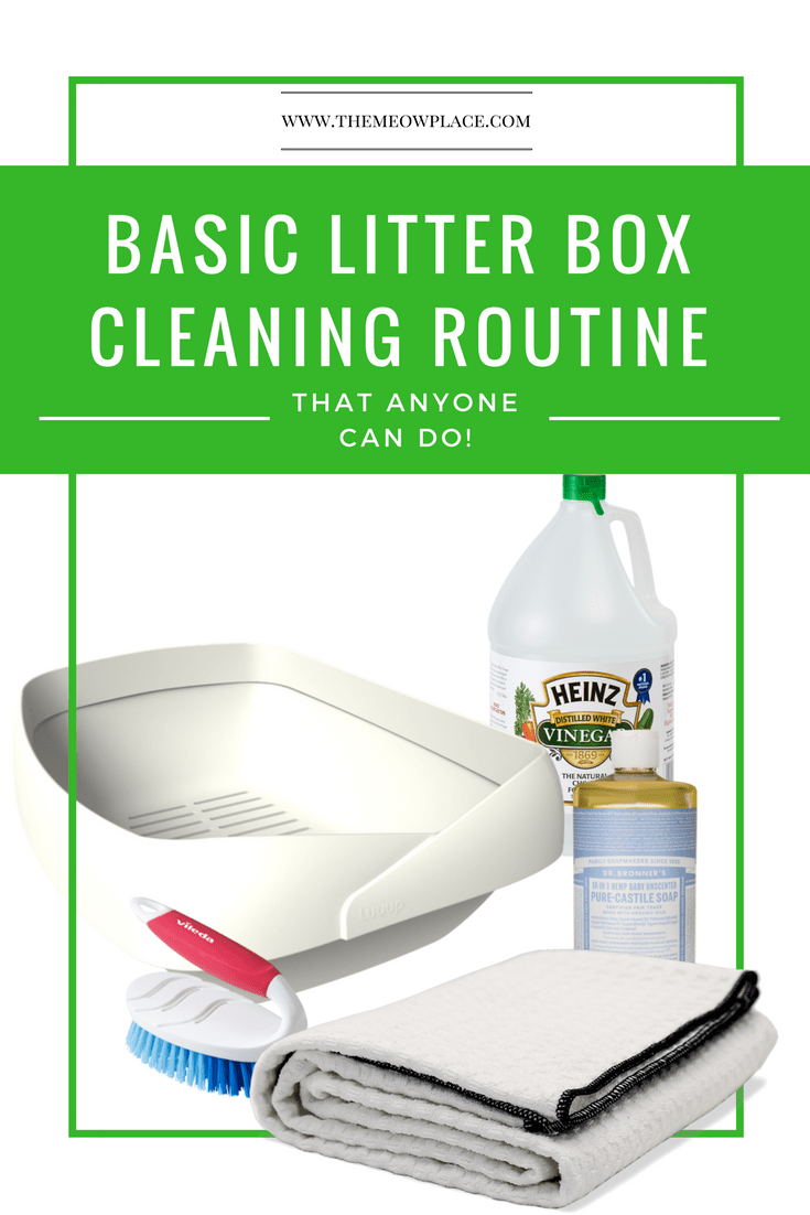 The Most Basic Litter Box Cleaning Routine (That Anyone Can Do!)