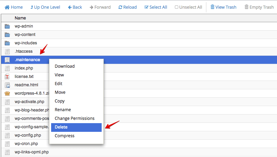 Log in to the wordpress administration panel. How to get rid of WordPress maintenance mode? - Themeum
