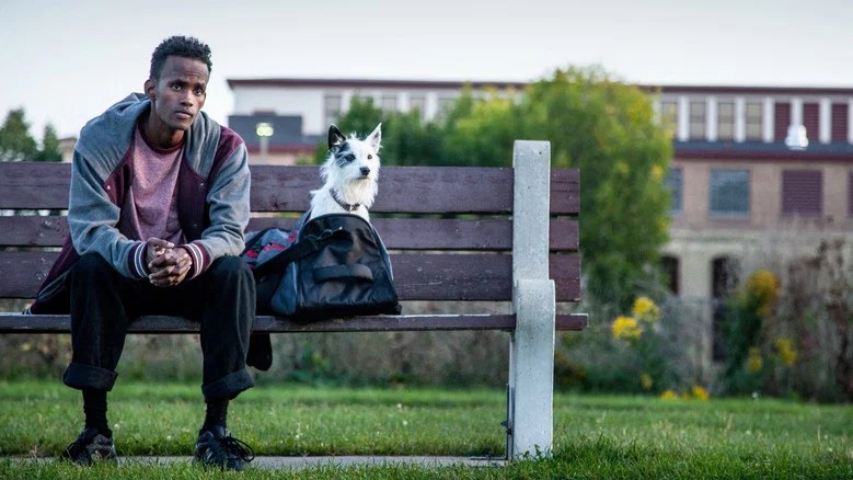 A Stray (2016)