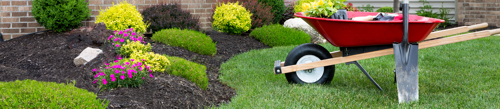 Mulch is commonly sold in cubic yards. Mulch And Landscape Faqs Mulch Tree And Shrub Health Mulch Masters Of Nc Inc