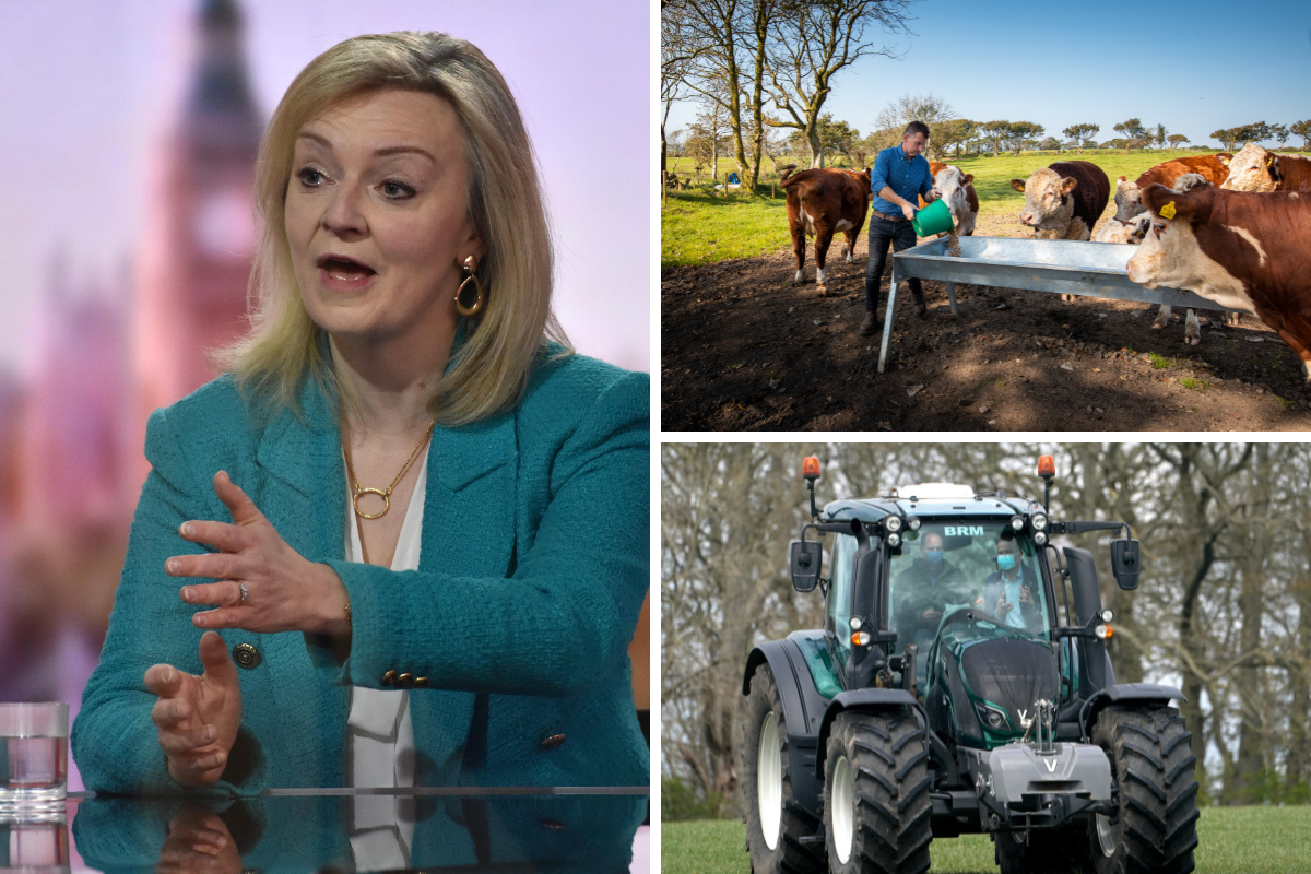 The australian trade deal is expected to be fully drafted by the end of this year, having already been agreed in principle. Australia Trade Deal Liz Truss Claims Uk Farmers Have Nothing To Fear The National