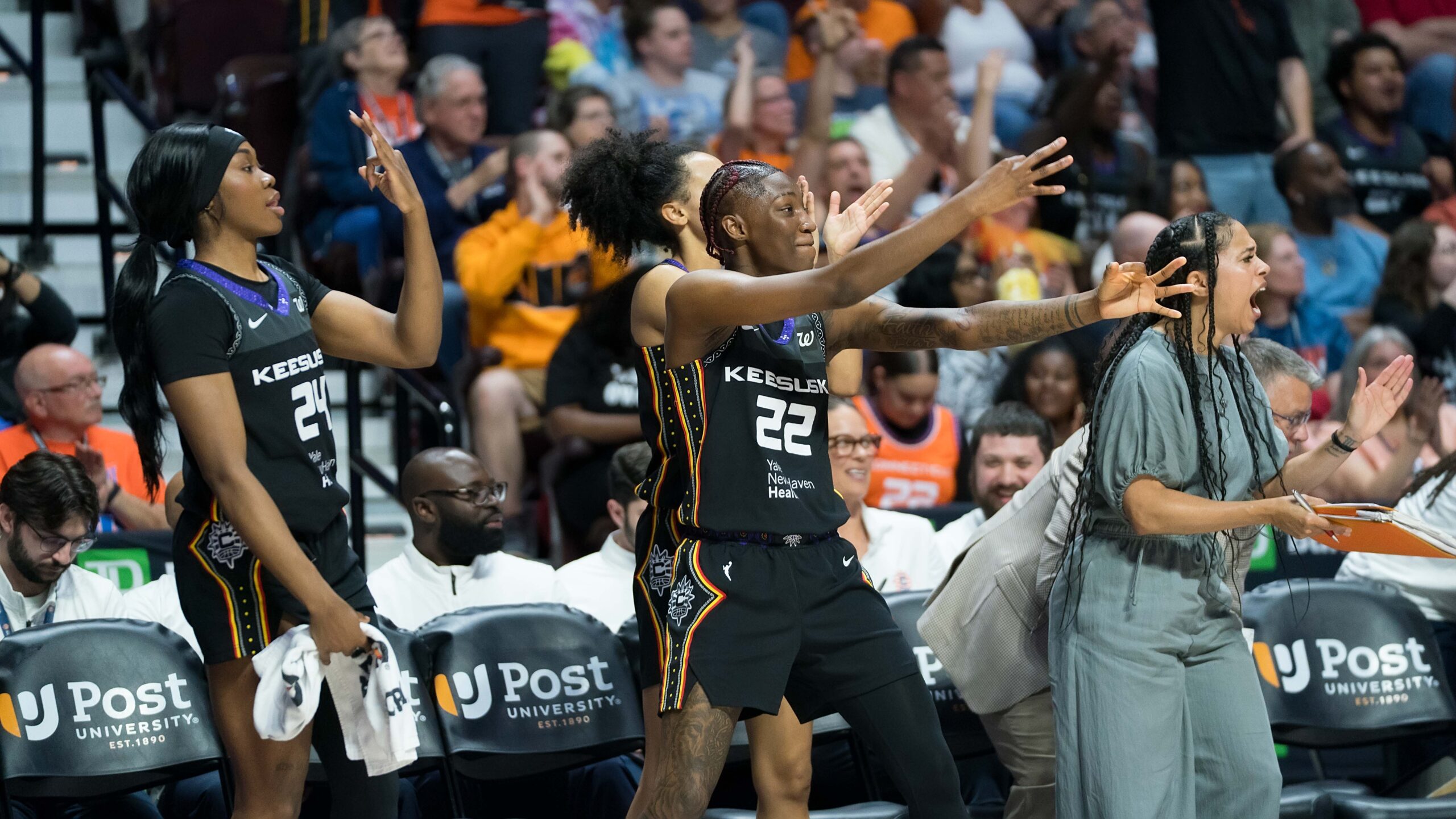 Sun players cheer for their teammates on the bench with arms in the air during a game