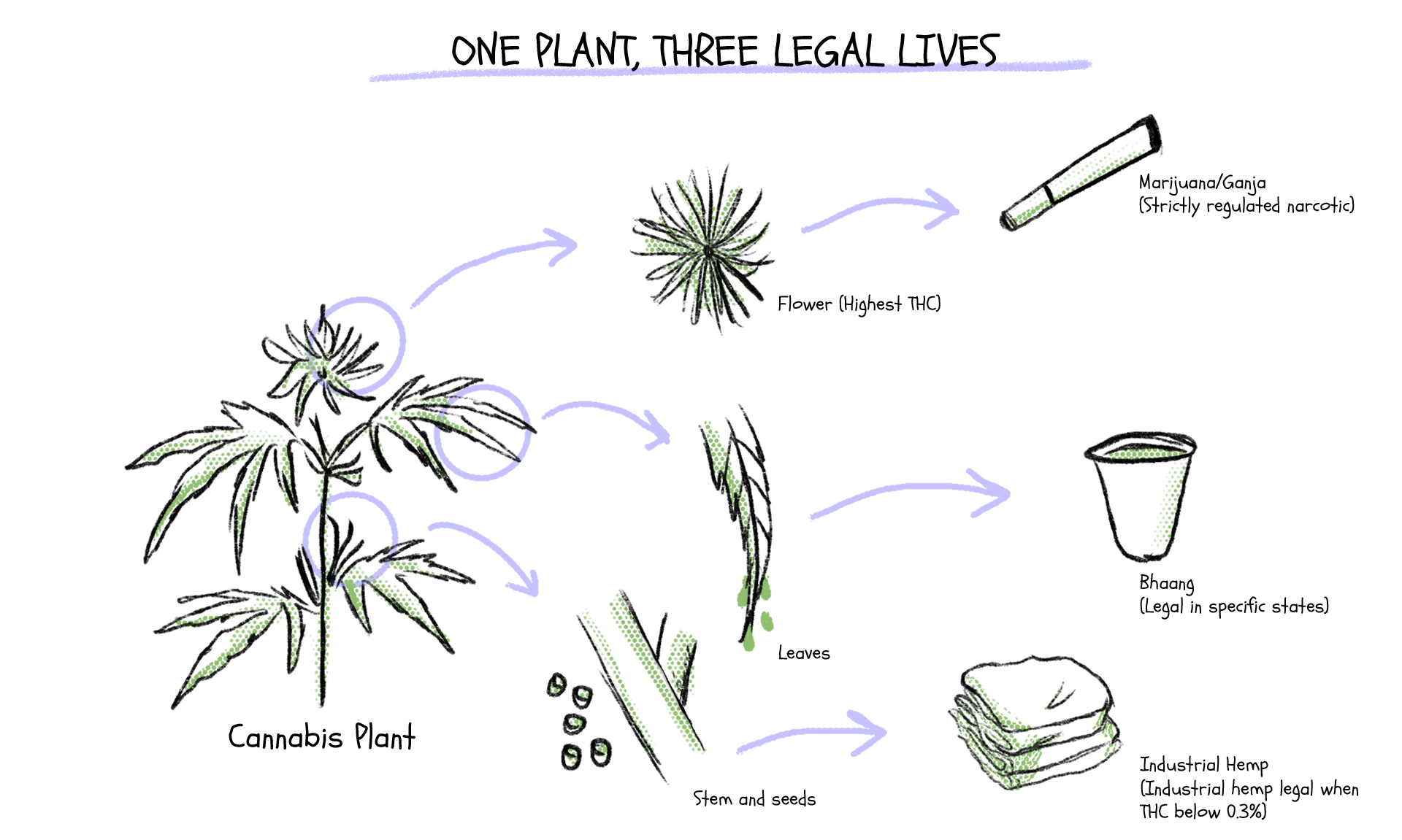 As that deadline approached, india officially banned cannabis (alongside substances like cocaine