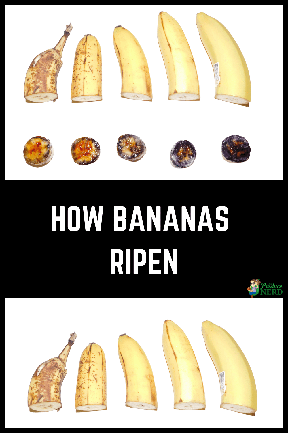 What Banana Is Right For You The Banana Ripening Process The Produce