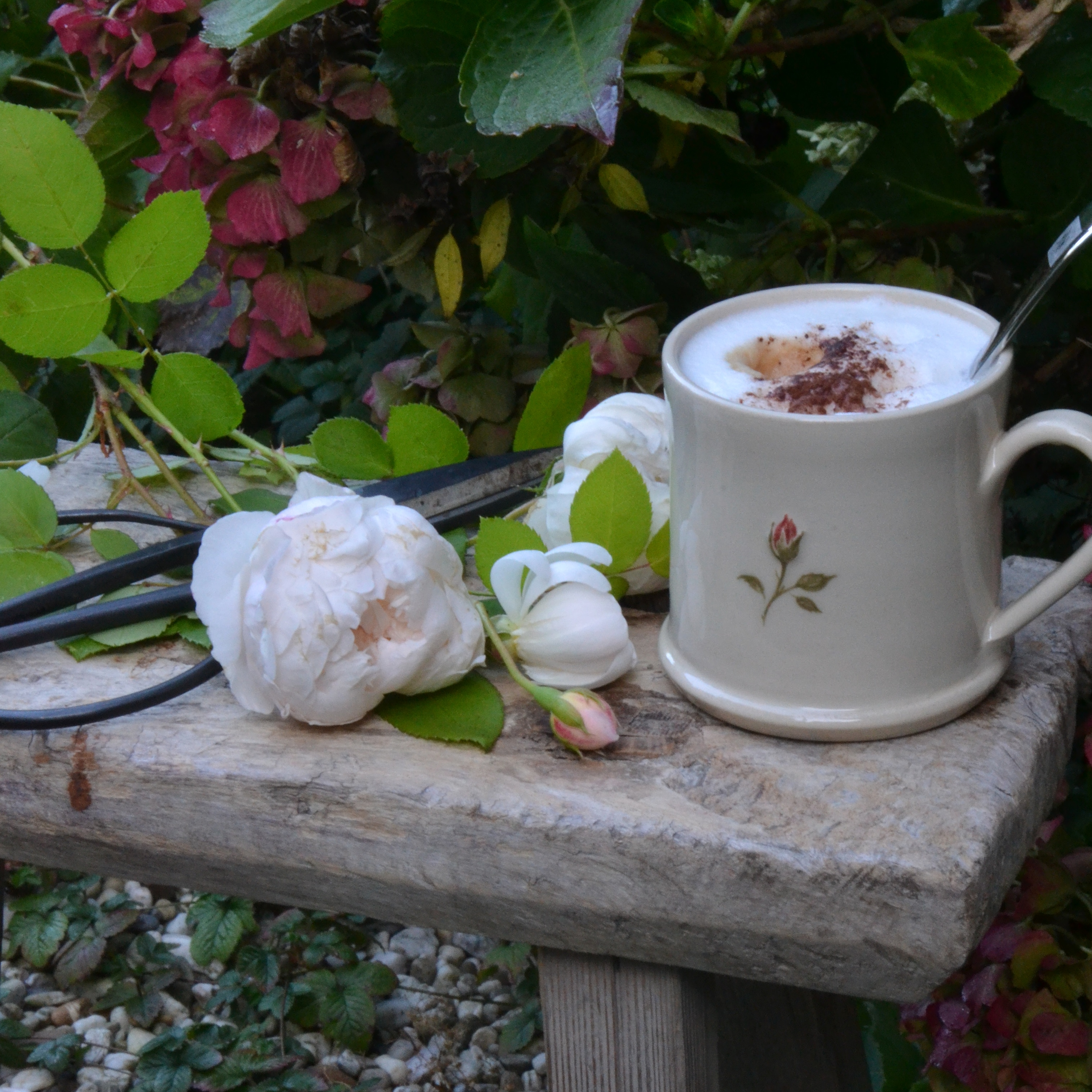 Jane Hogben Mug Rosebud - The Reed Warbler Shop