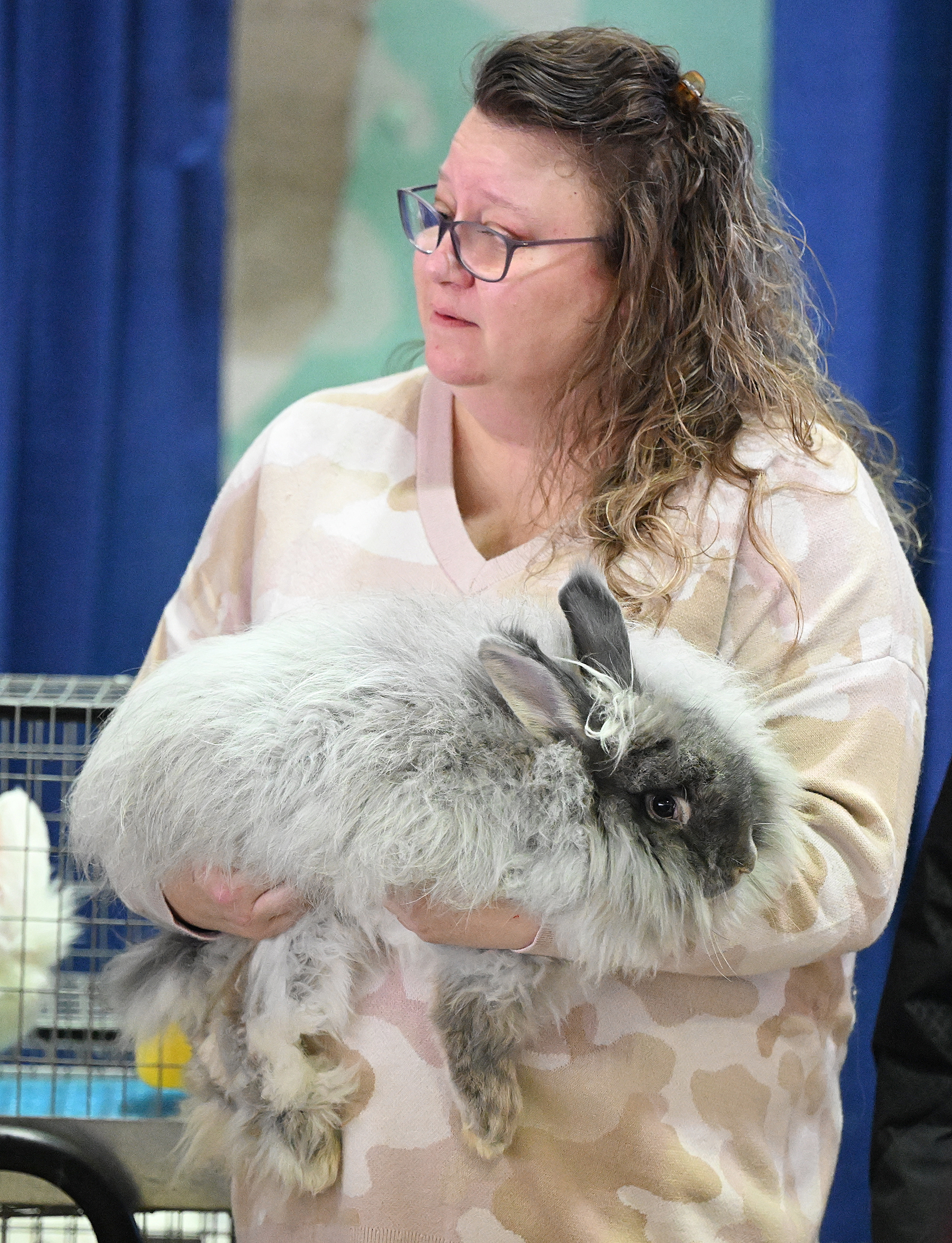 Hopping into a hobby – The Vacaville Reporter