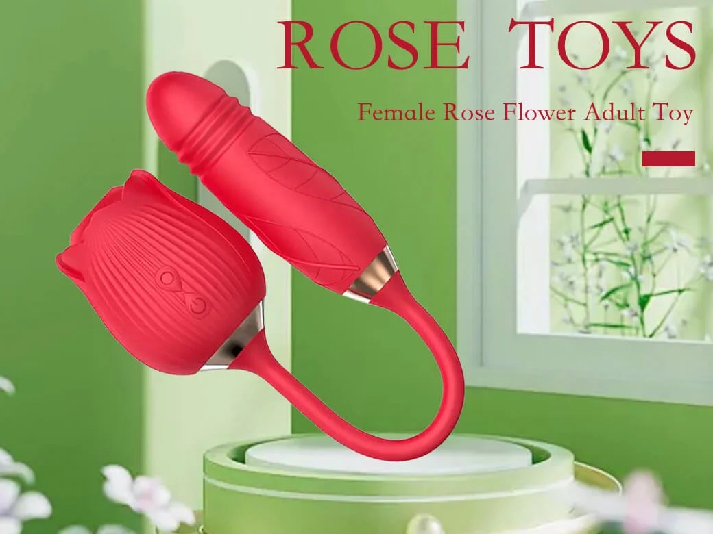 How A Rose Toy Works The Rose Toys How A Rose Toy Works 
