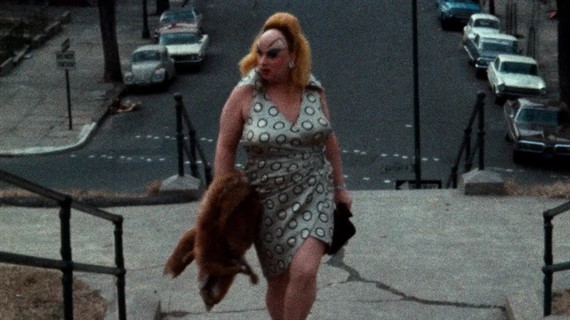 Pink Flamingos in 35mm