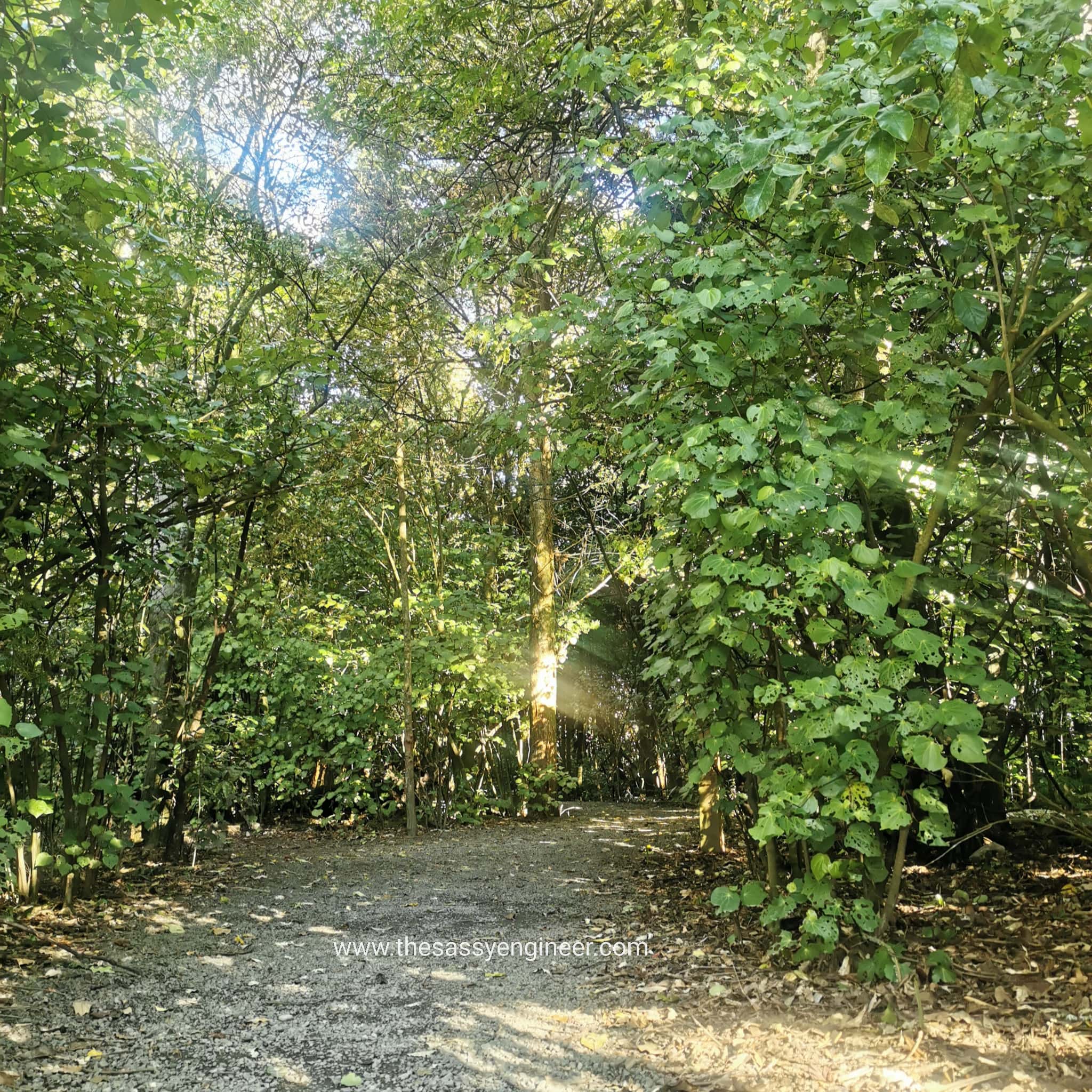 Bus walk track