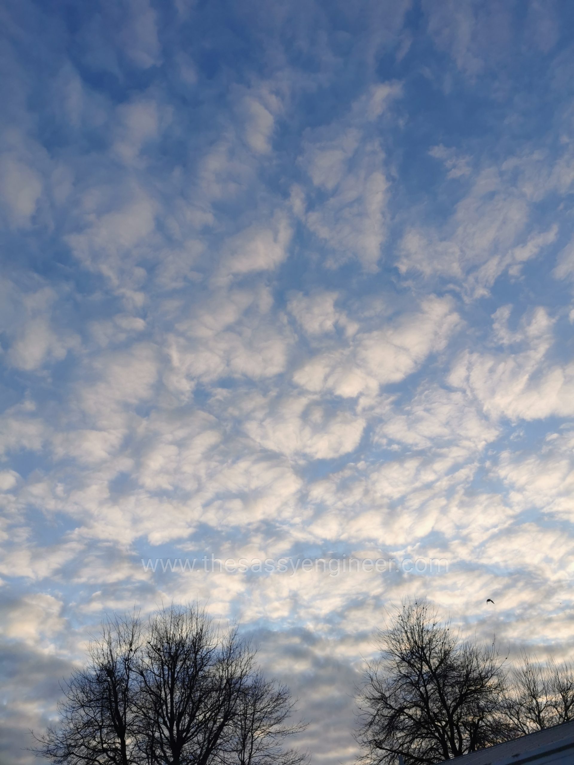 Cumulus with sunset