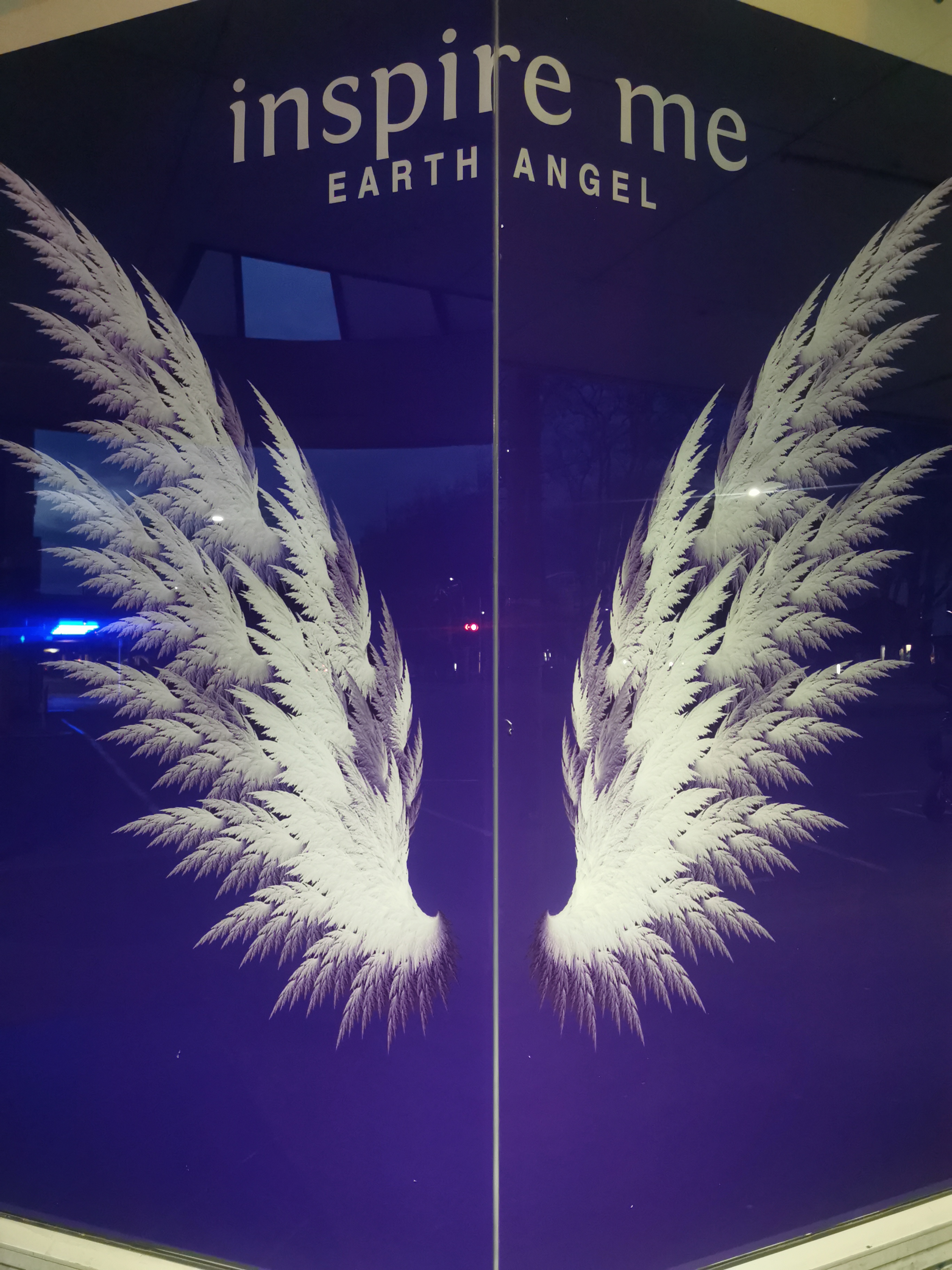 Angel's wings