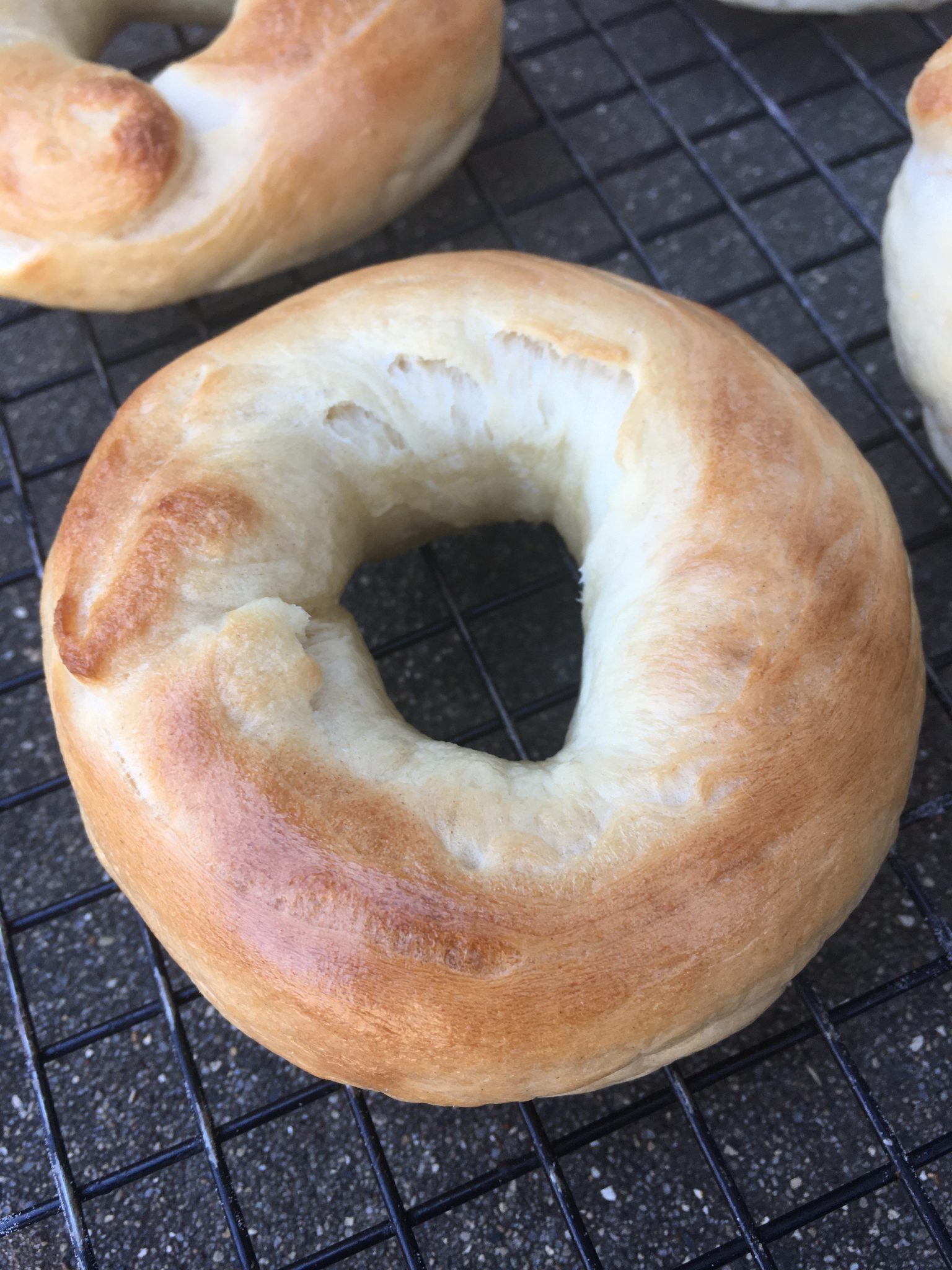 bread maker bagels